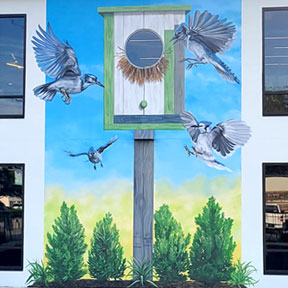 photo of bird house mural